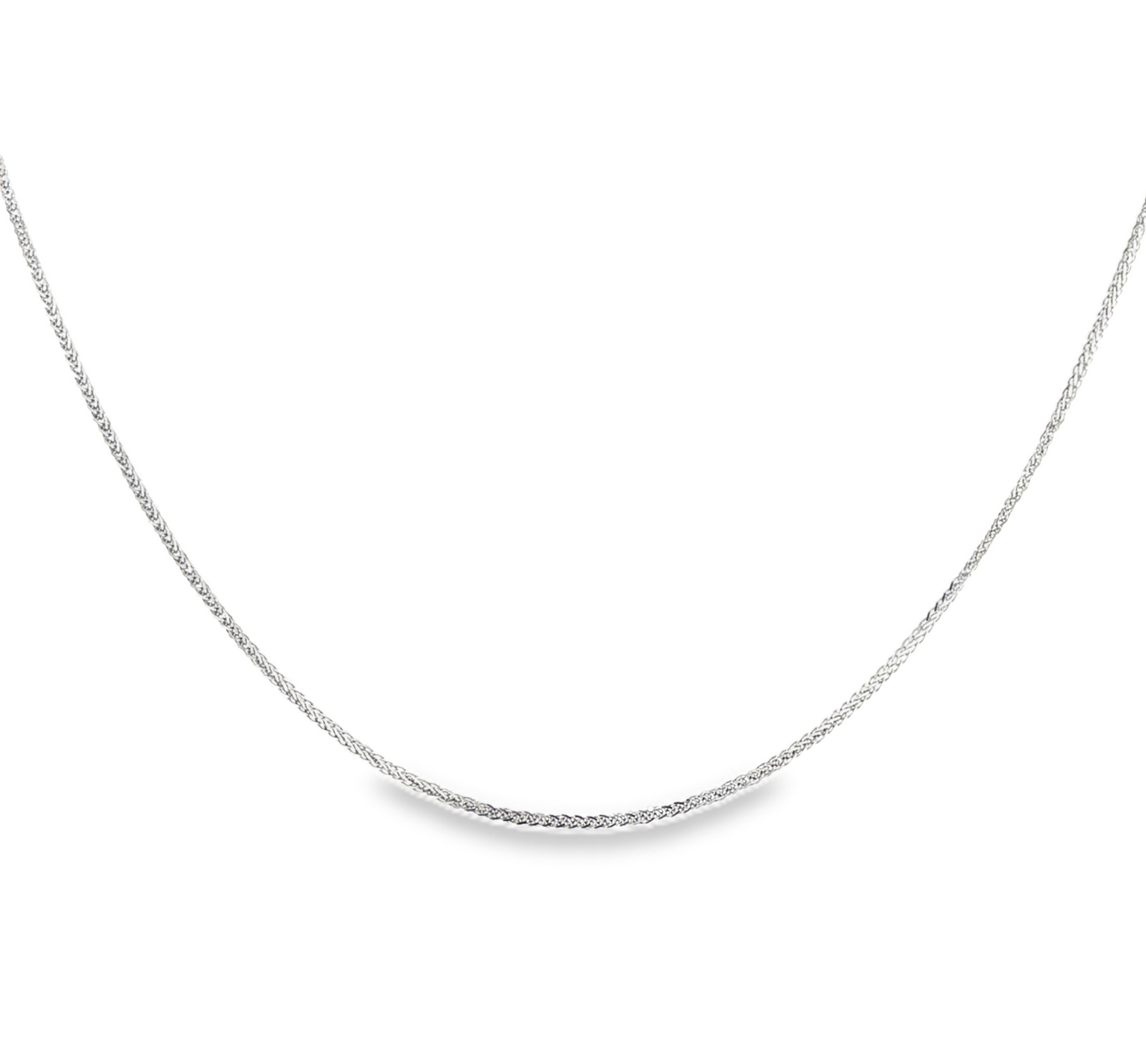 Dense Spigga chain in 14k white gold